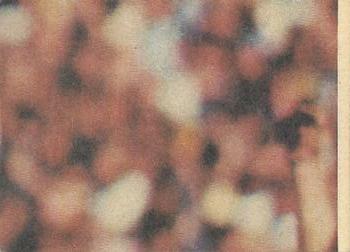 1979 Scanlens VFL #125 Mervyn Keane Back